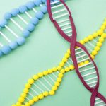 近い将来ノーベル賞が確実な《ゲノム編集》という技術